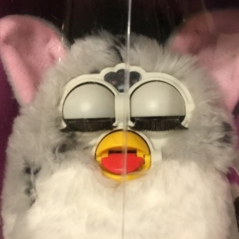 Meet your Posher, Elyssa